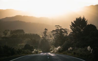 Te Kahui Atawhai o Te Motu Board Meeting – Dec 18 2019